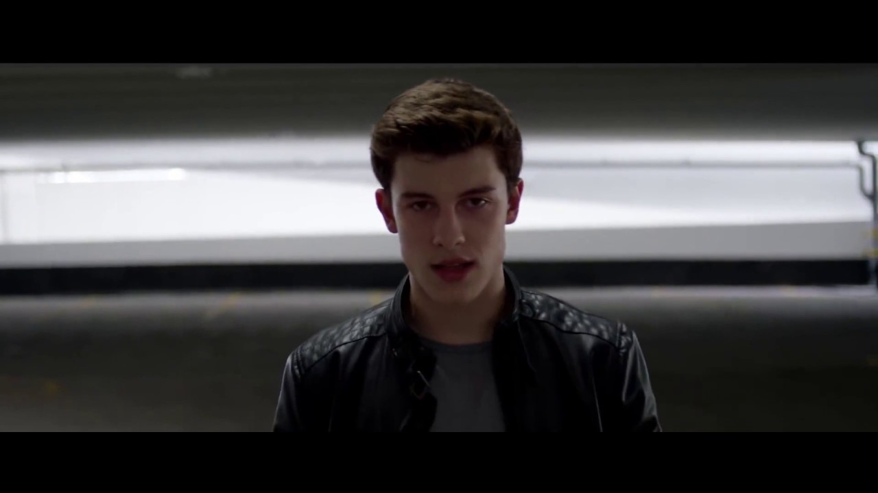 Shawn Mendes - Stitches (Official Video)