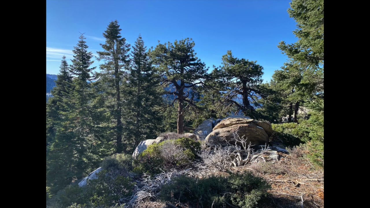 Makena's Dangerous Adventures, 7. Mt San Jacinto from Devil's Slide Trail