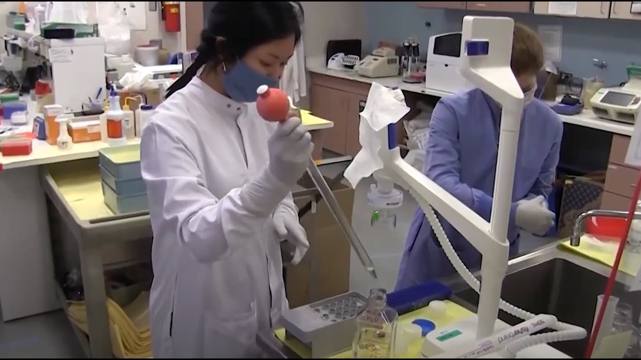 Celebrating Public Health Week 2022