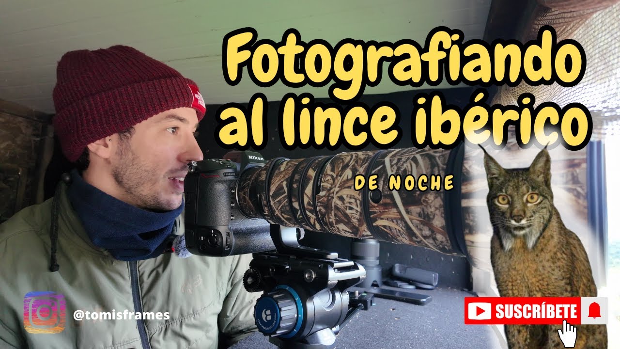 Fotografiando al lince ibérico en Gato Clavo (Parte 1) || Fotografía de fauna salvaje Ep. 14