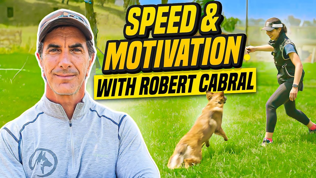 Boost Your Dog's Speed and Motivation with Robert Cabral