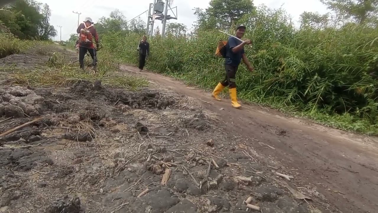 MEMBERSIHKAN RUMPUT DIPINGGIR JALAN SEKITAR LAHAN BARU