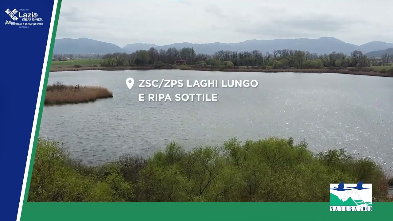 La metodologia dell'inanellamento a scopo scientifico. Scoprine di più insieme a noi!