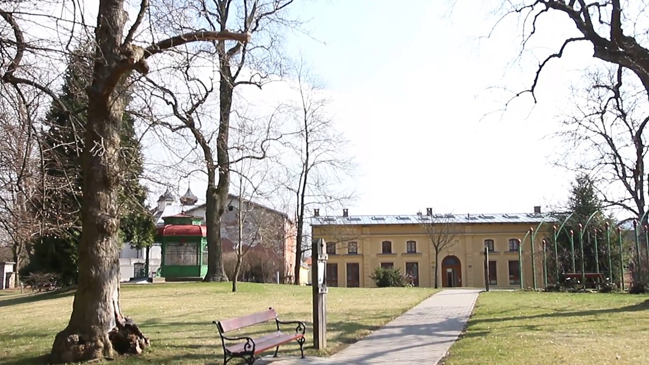 Domov svatého Josefa podpořil Camino na kolečkách