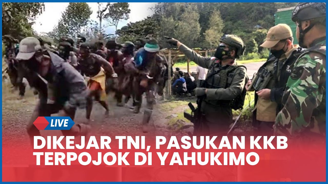 🔴 OPM Serang 2 Pencari Gaharu, Giliran Pasukan KKB Terpojok di Yahukimo, Dikejar Pasukan TNI