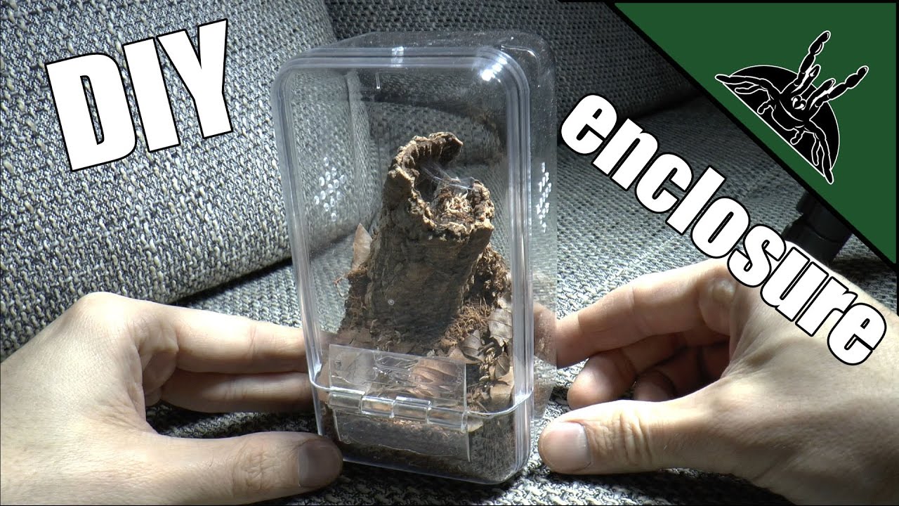DIY AMAZING Ferrero Arboreal Enclosure!
