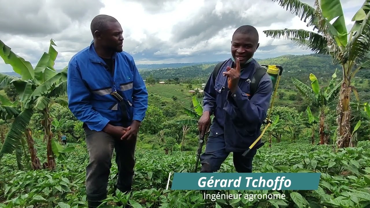 Cet ingénieur agronome préfère travailler en plantation que dans un bureau climatisé