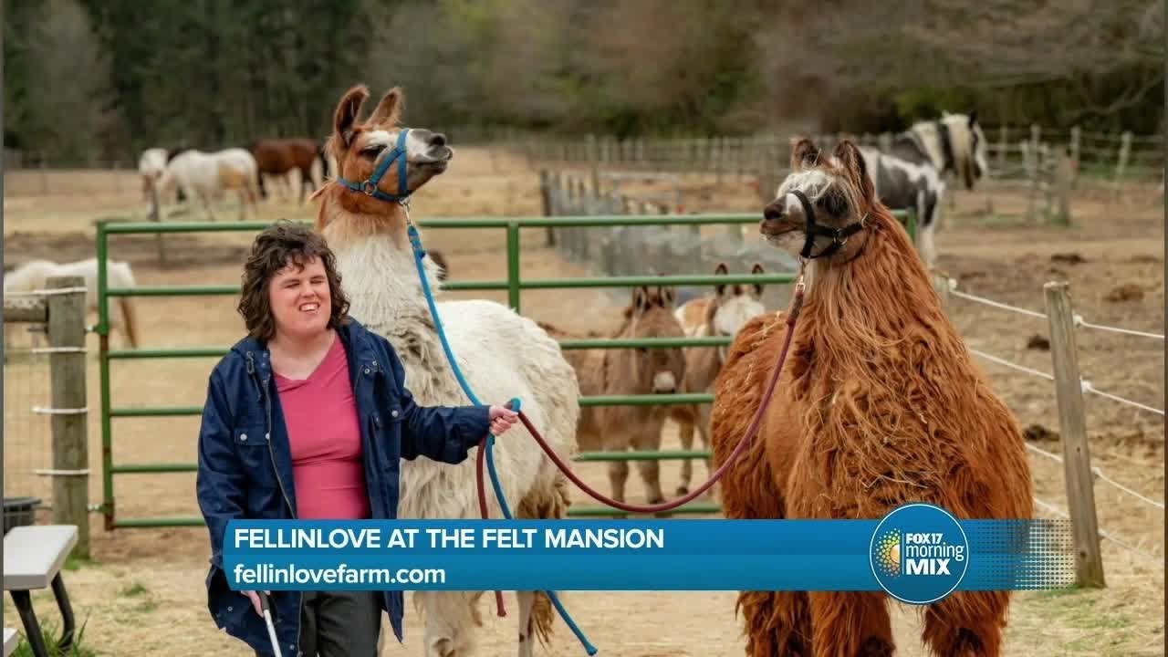 February Fun at Fellinlove Farm
