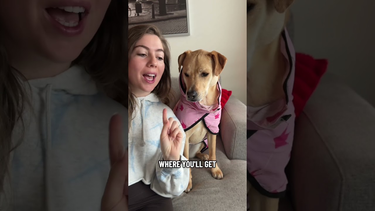 Самые преданные поклонники Сандры! 🥰 Это через Инстаграм &mdash; так что подписывайтесь на нашу страниц...