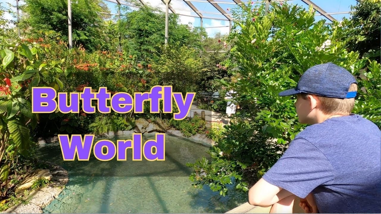 The World's Largest Butterfly Park | Butterfly World | Things to do in Ft Lauderdale