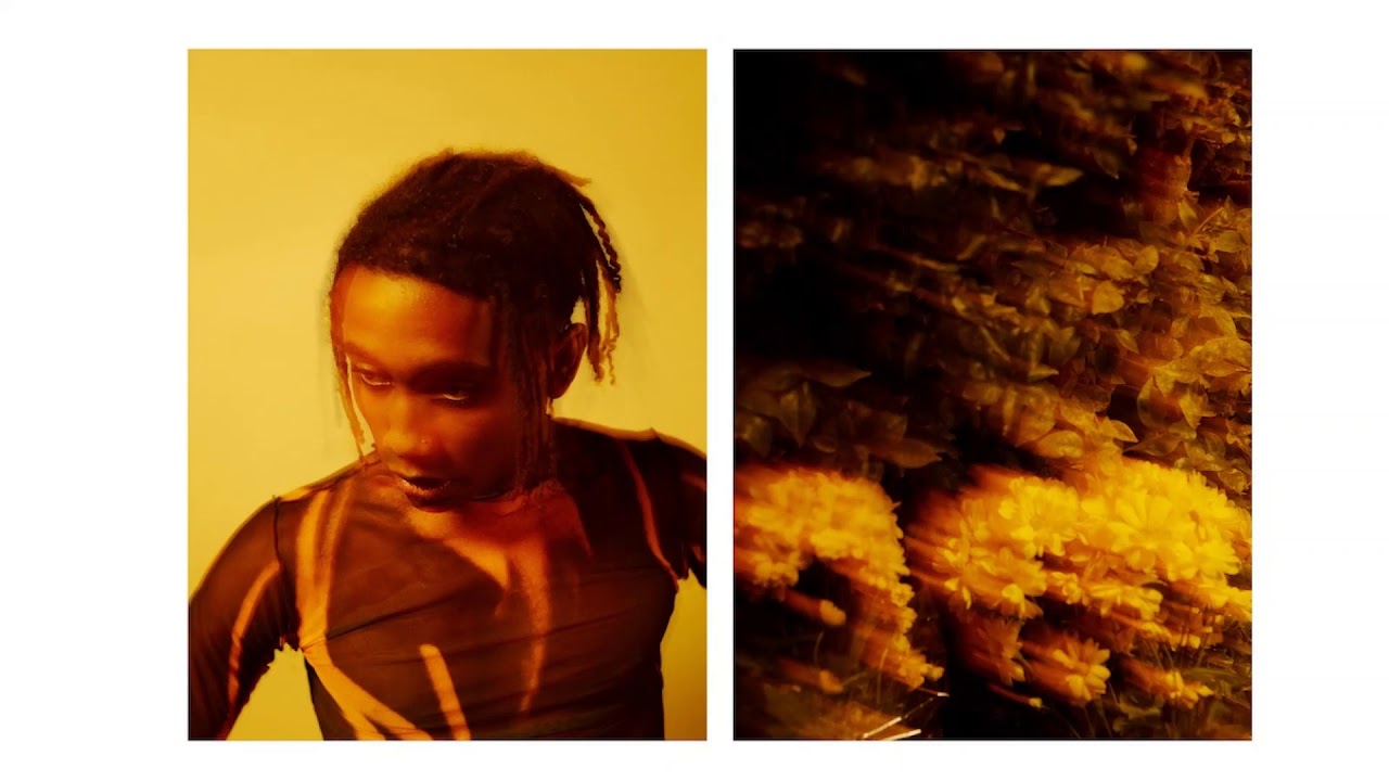 Leïti Sene - TERENCE MCKENNA (prod by iseekarlo x chineseguy2021)