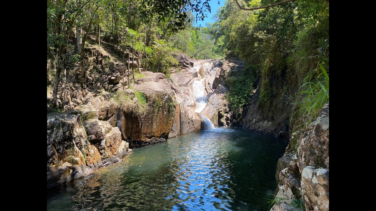 Finch Hatton Gorge 191