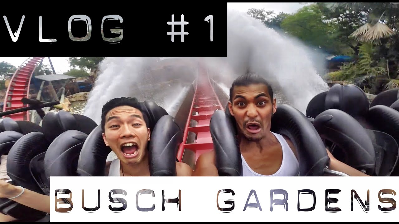 VLOG #1 - Busch Gardens - Tampa, FL