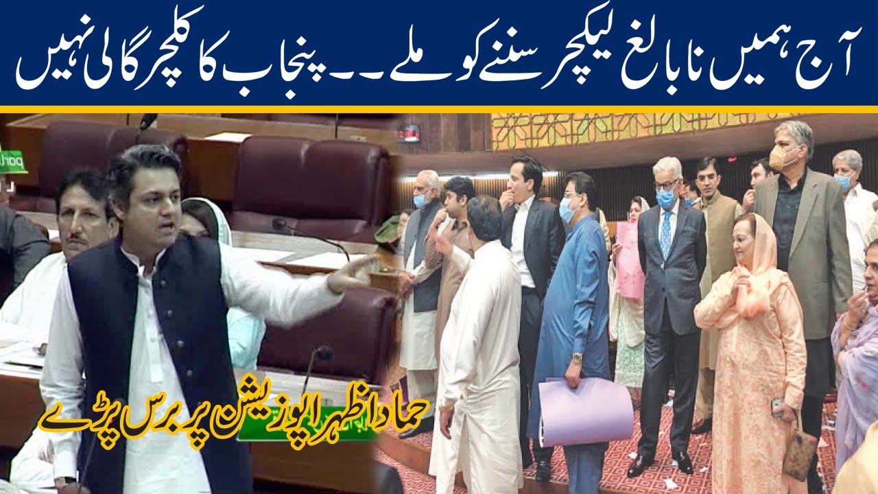 Hammad Azhar Blasting Speech In Assembly After Fighting Session