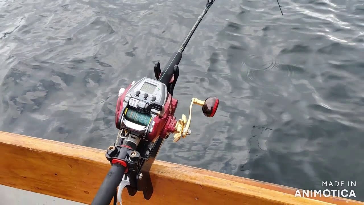 Daiwa Seaborg 500mj amazing electric reel