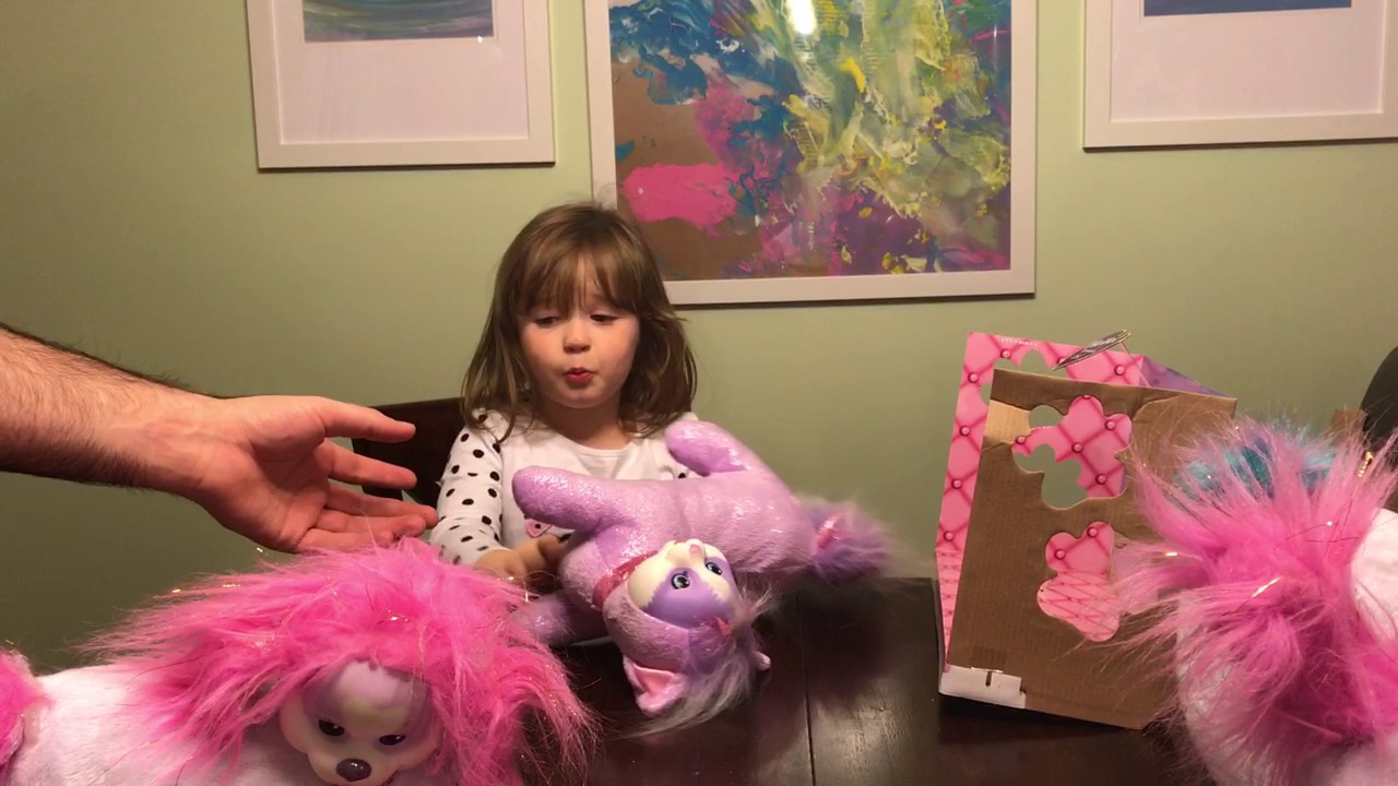Kitty Surprise- Meeting Iris out of the Box