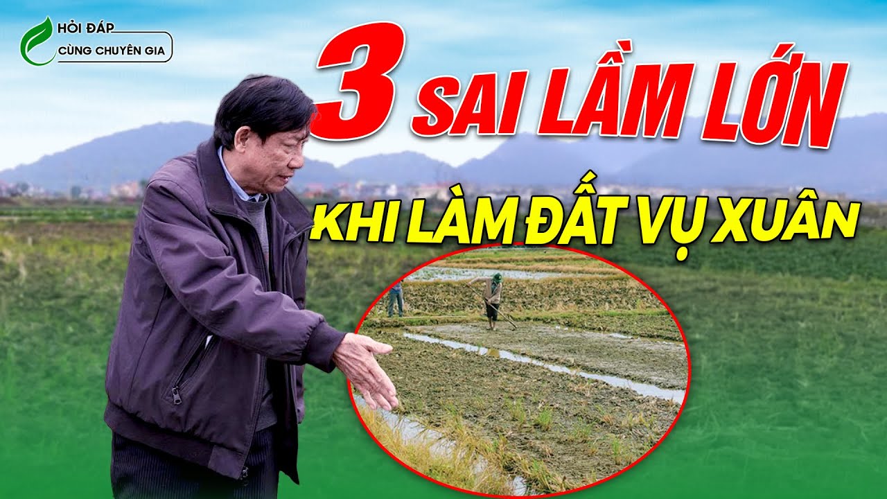 Hướng dẫn chuẩn chuyên gia:Làm đất đúng cách cho vụ lúa Xuân trúng đậm
