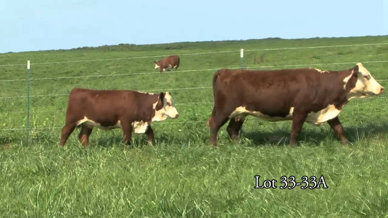 Journagan: Lot 33 and 33A