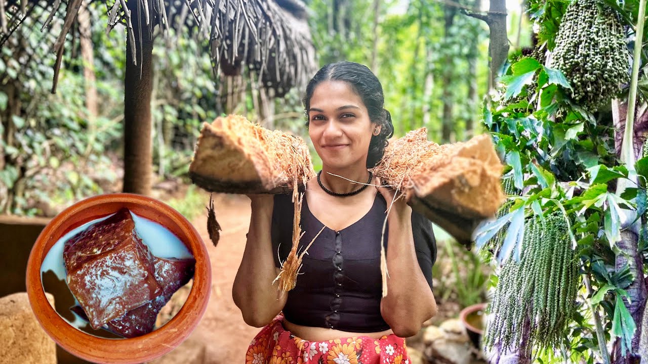 Traditional Kithul Thalapa 🍮 කිතුල් ගහෙන් කිතුල් පිටි ගන්න හැටි | කිතුල් තලප සමග කිරිපැණි හොද්ද