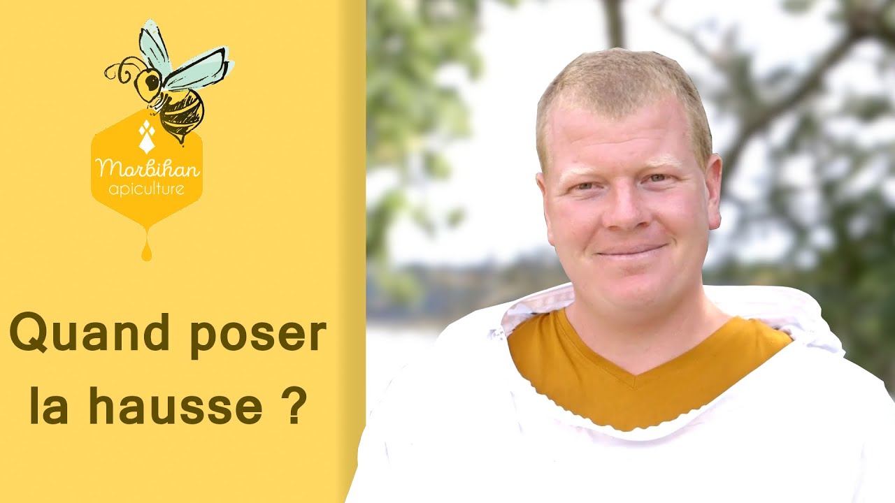 #41 - Quand poser sa hausse de ruche ? (Technique feuille de journal)