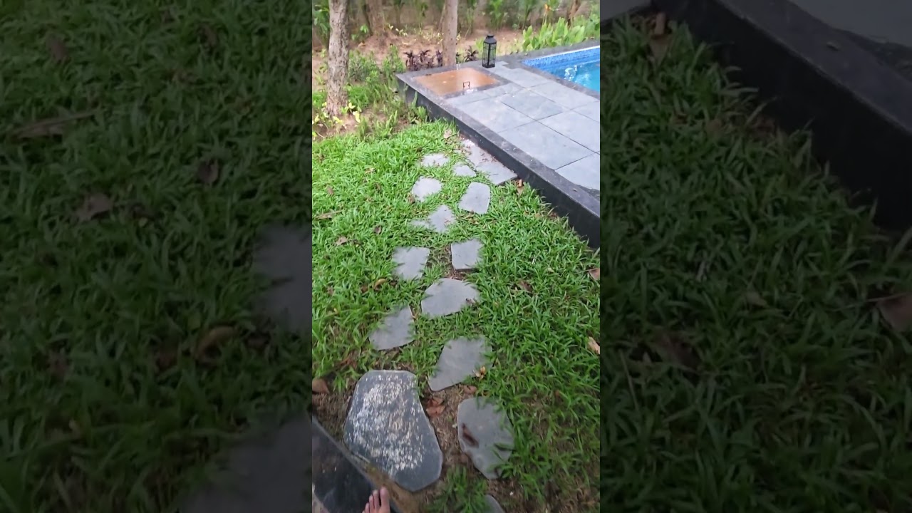 sonar bangla joypur forest 