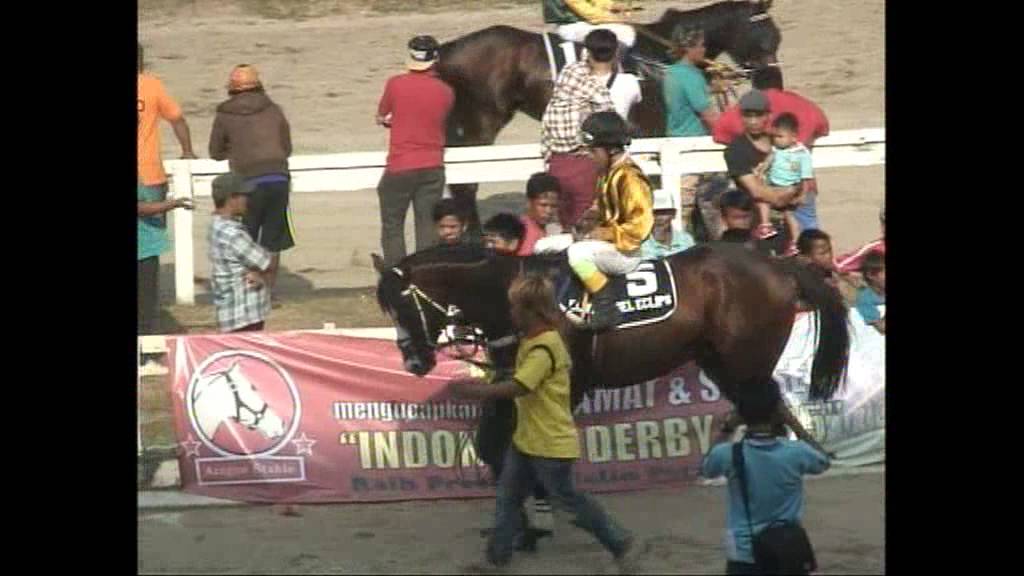 Indonesia Derby 2015 - Beauty Eagling
