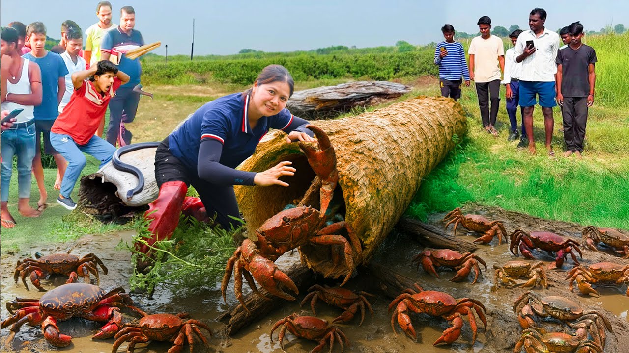 Brave Hunter Catches Giant Crab with bare hands to sell - Rescue Amphibian