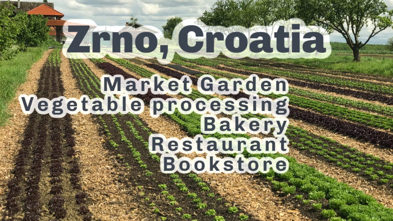 REGENERATIVE AGRICULTURE WITH CROATIA'S PIONEERS (Bio Zrno with David Pejić)