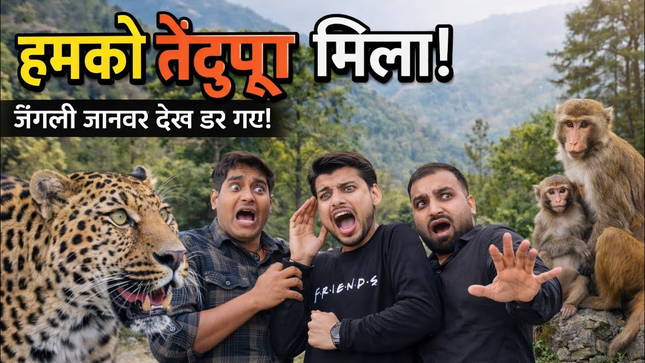 😱NAINA Peak उर्फ़ CHEENA Peak Nainital Trekking    Naina Peak | Tourist Place Uttarakhand | 