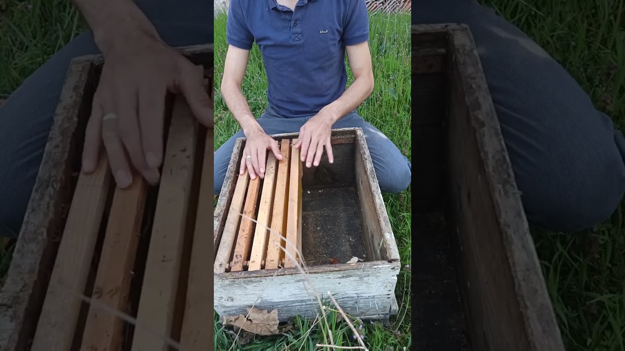 Arıya petek nasıl verilmeli, nereye petek verilir. #arıcılık #dogalyasam #bee #beekeeping