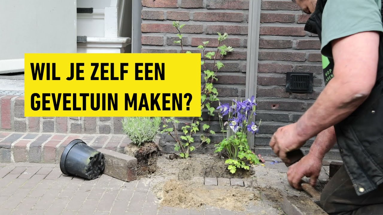 Geveltuin Instructievideo - NK-Tegelwippen Arnhem