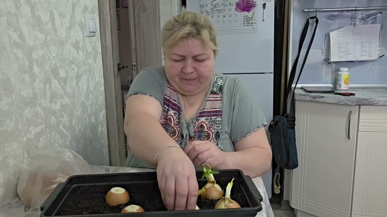 БЕЗ ДЕЛА НЕ СИЖУ.  ПОСАДИЛА ЛУК, К ПРАЗДНИКАМ БУДЕТ СВОЯ ЗЕЛЕНЬ 