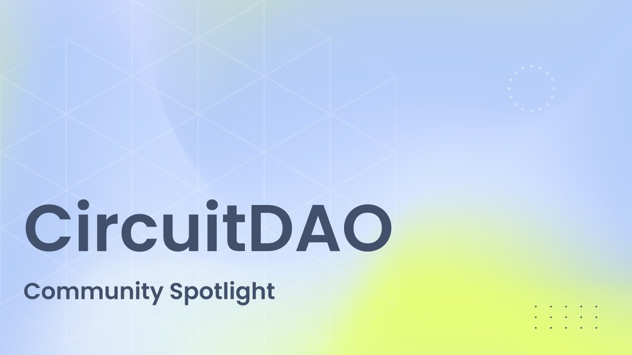 CircuitDAO | В центре внимания сообщества