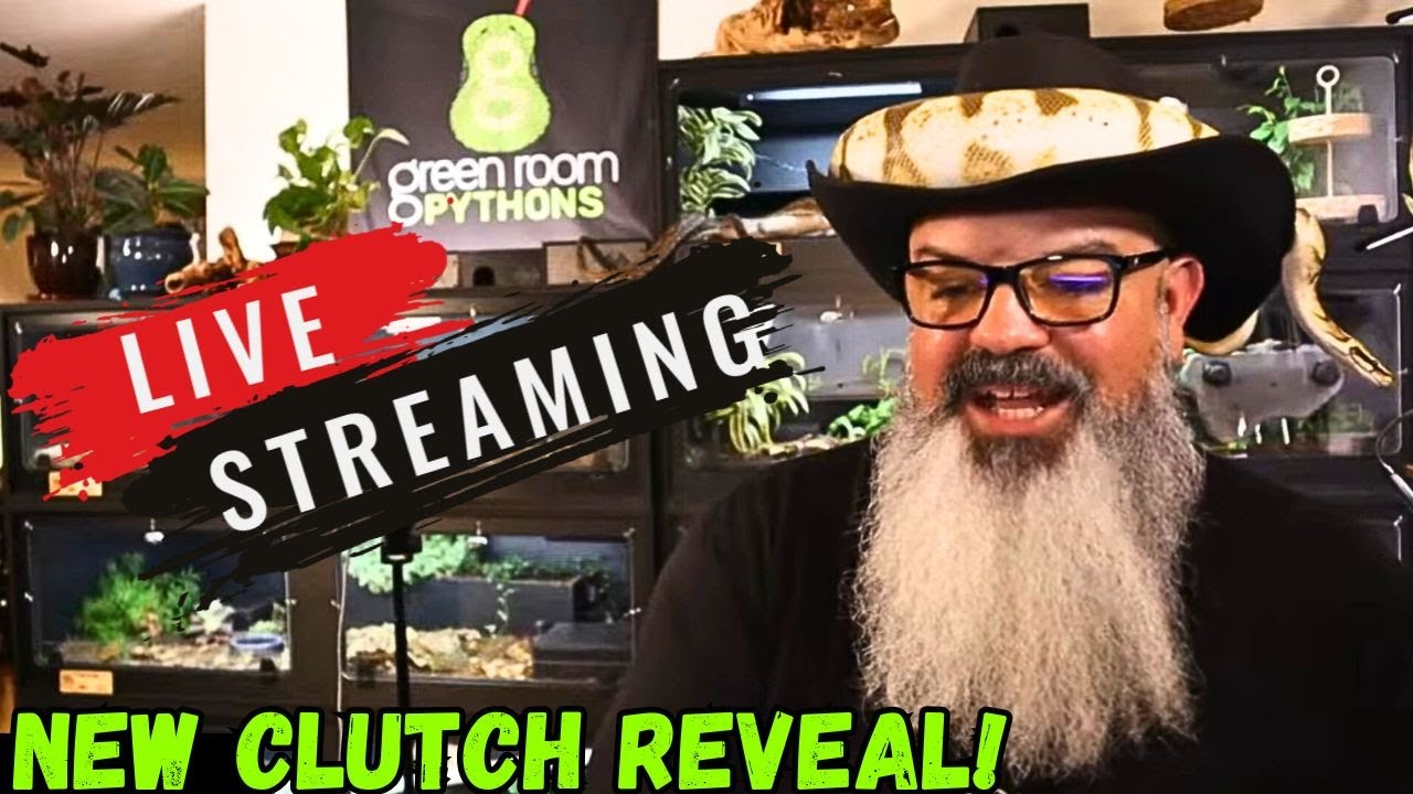 Snakes & Scotch LIVESTREAM: Snake Keeping and Behavior Q&A