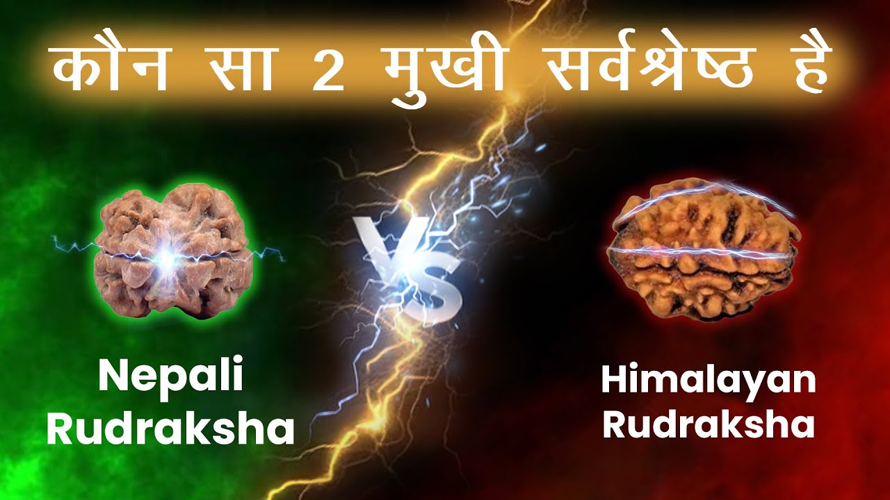 2 Mukhi Nepali Rudraksha Benefits | दो मुखी रुद्राक्ष के लाभ  | चन्द्रमा Moon ki lye Rudraksha