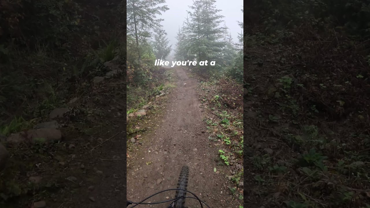 A classic PNW mtb trail recently rebuilt!