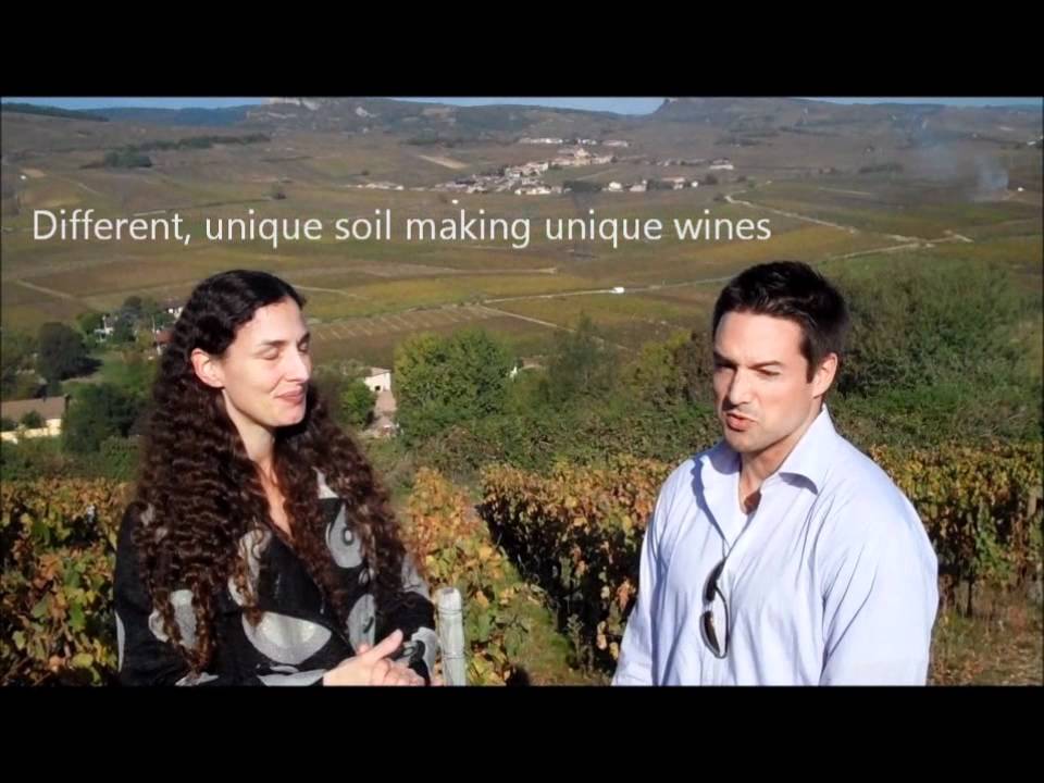 Nick's Wine Journal - Pouilly Fuisse, France