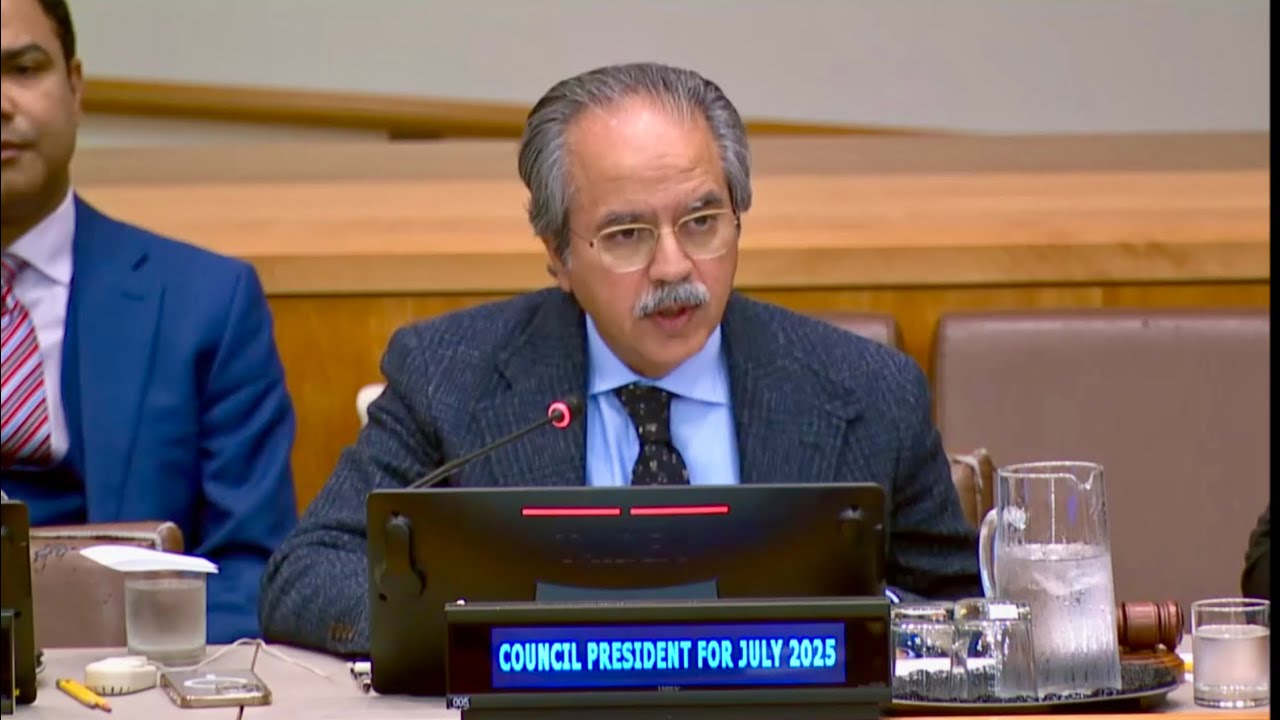 Pakistan in Eighth UN Security Council Term, Pledges to Champion General Assembly's Concerns. Jan 16