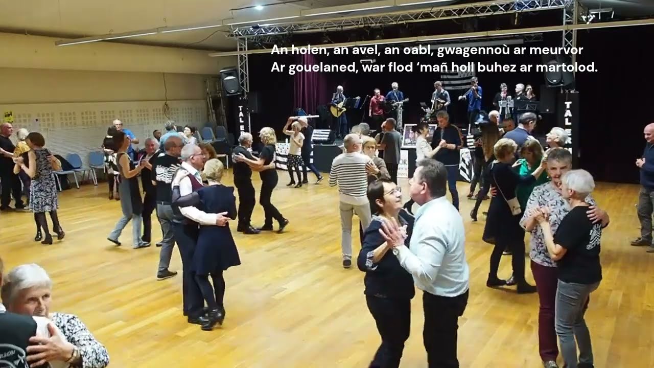 Tam Glaz - La Valse du Matelot (Tro Breizh war vor)
