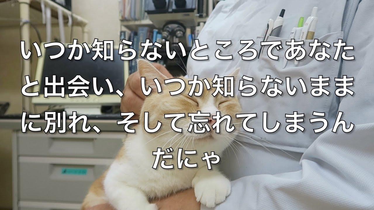 ＜懐かしアニソンシリーズ番外編＞キャンティの歌（アンデルセン物語）＜世界名作劇場シリーズについて語る＞