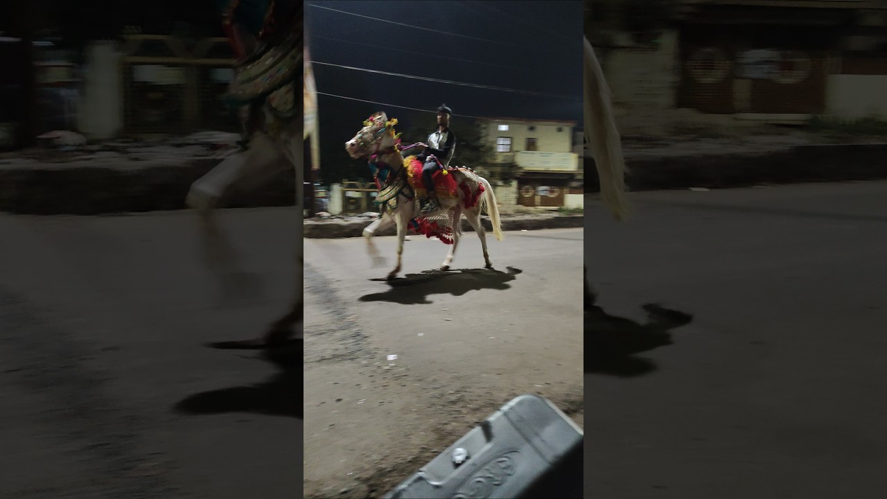 dauda dauda ghoda dum uthakar dauda lakdi ki kathi #lakdikikathikathikaghoda #kathipeghoda #indian