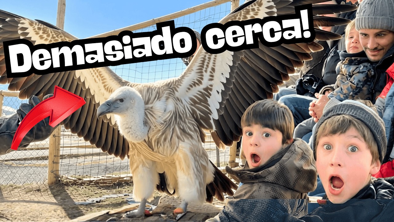 “Mira lo que descubrimos a 45 minutos de Barcelona 🦅 | CIM Dàligues”