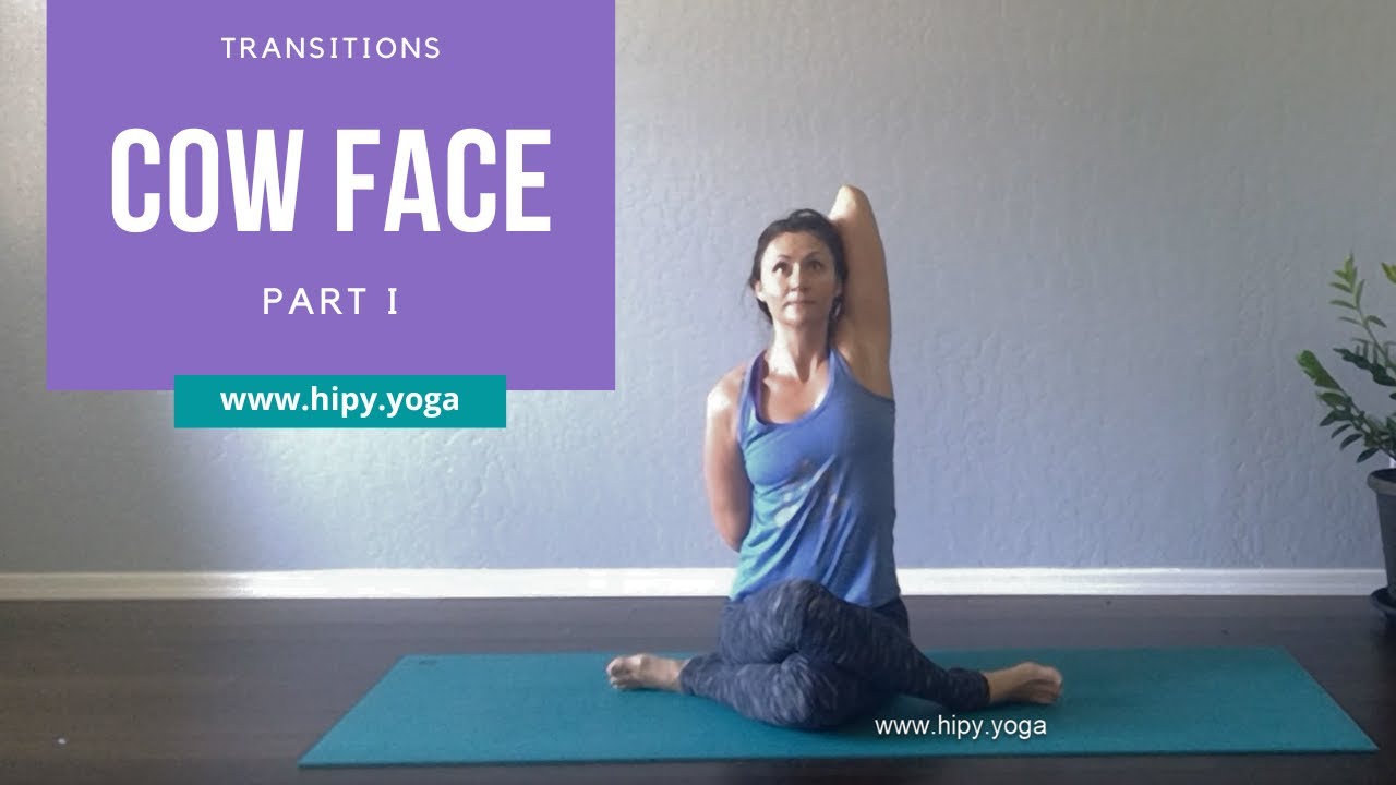 Cow Face Transitions   Part I ⭐ Creative Ways to Sequence Yoga Class