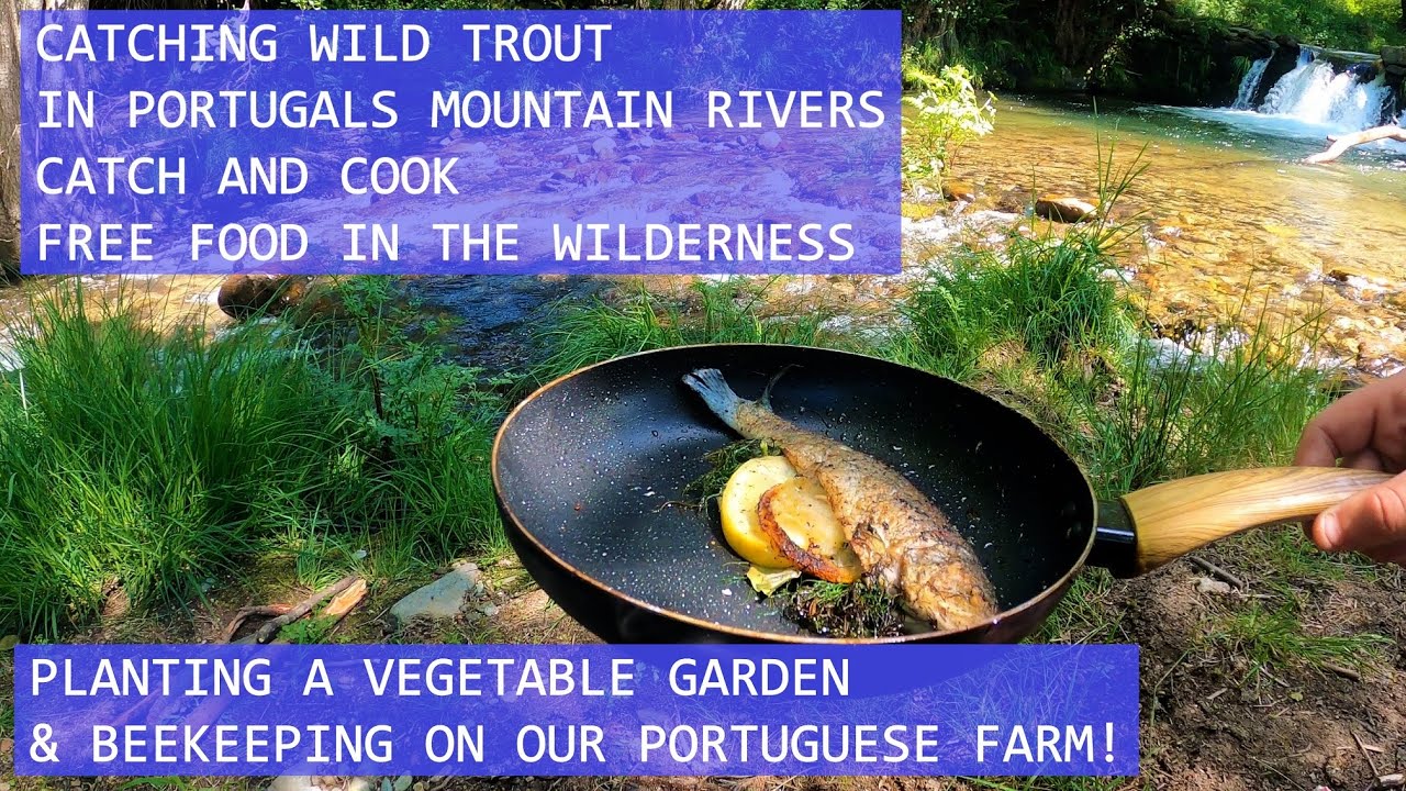 TROUT FISHING IN A PORTUGUESE MOUNTAIN RIVER - CATCH AND COOK RIVER SIDE - PLANTING VEGETABLE GARDEN