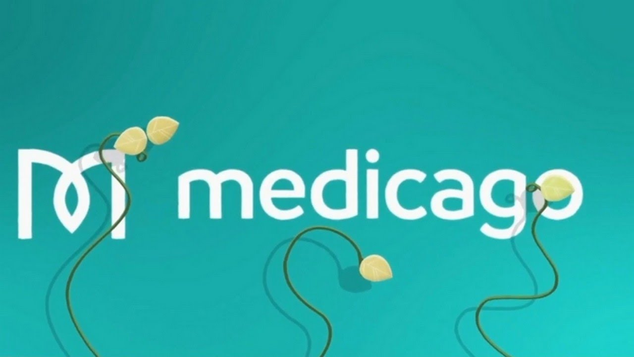 Health Canada approves Medicago's plant-based COVID-19 vaccine