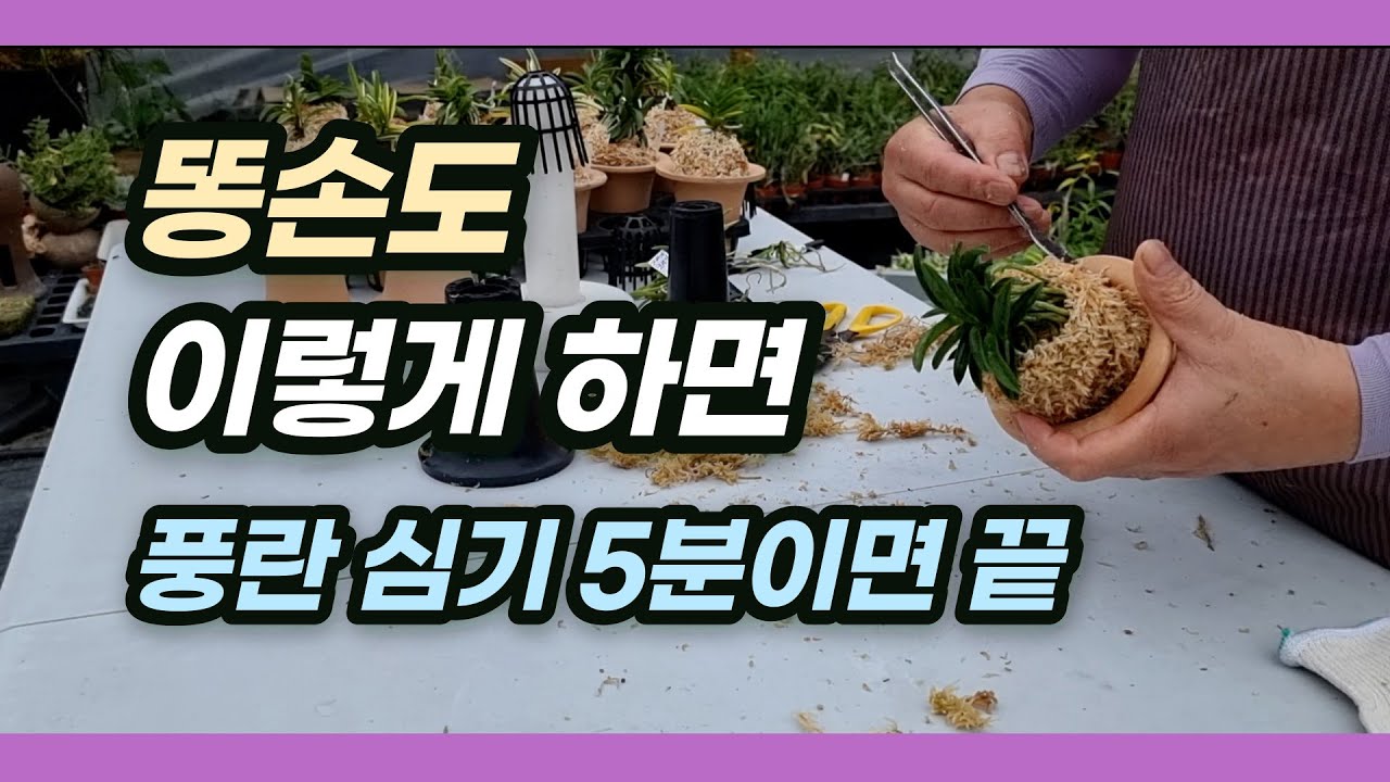 (ENG)(SUB)쉽고 빠르게 풍란 심는 법