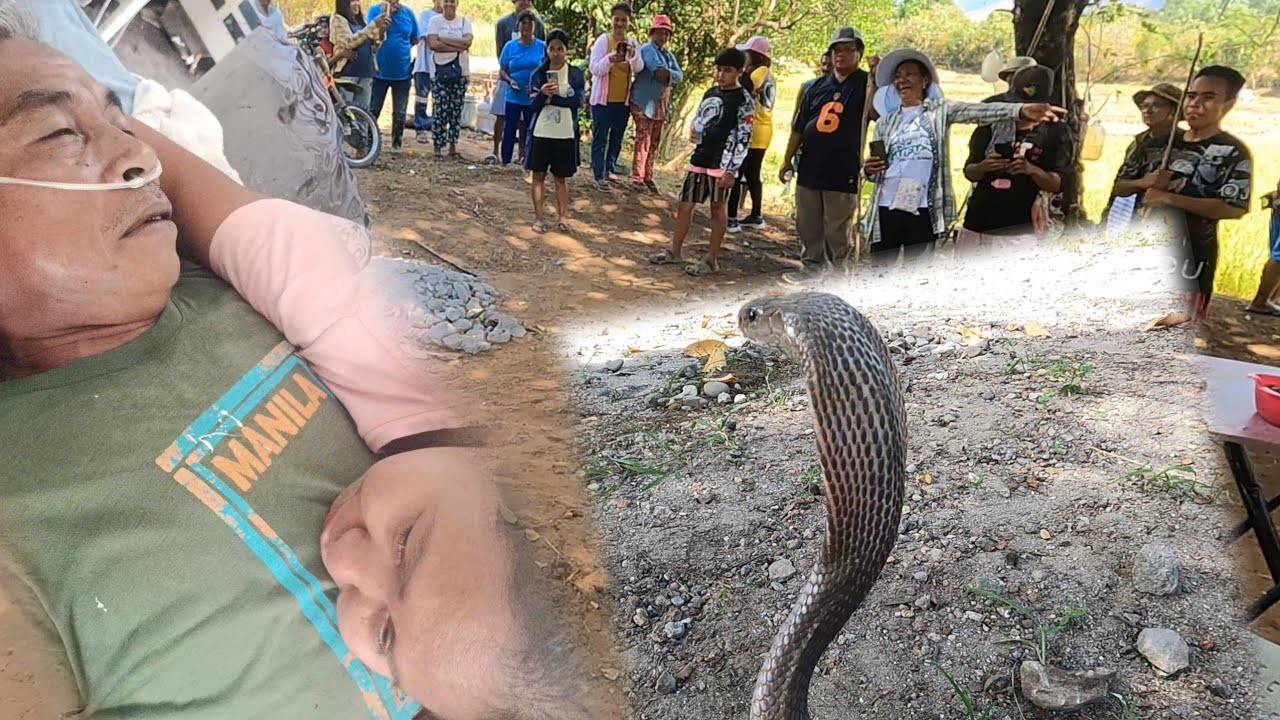Patay ang isang magsasaka sa iba zambales matapos makagat ng cobra