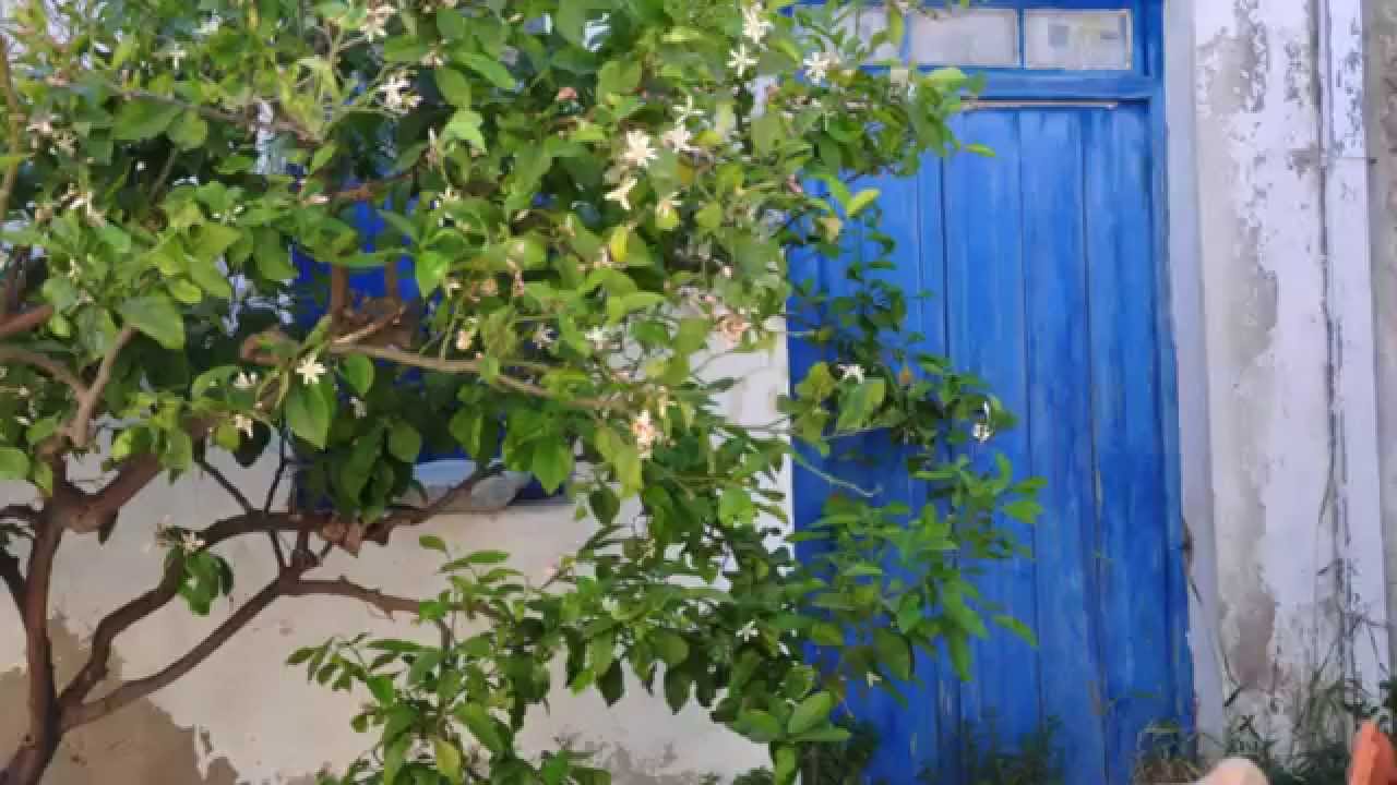 The Village Kalo Chorio Pediados Heraklion Crete - Villa Stravorina