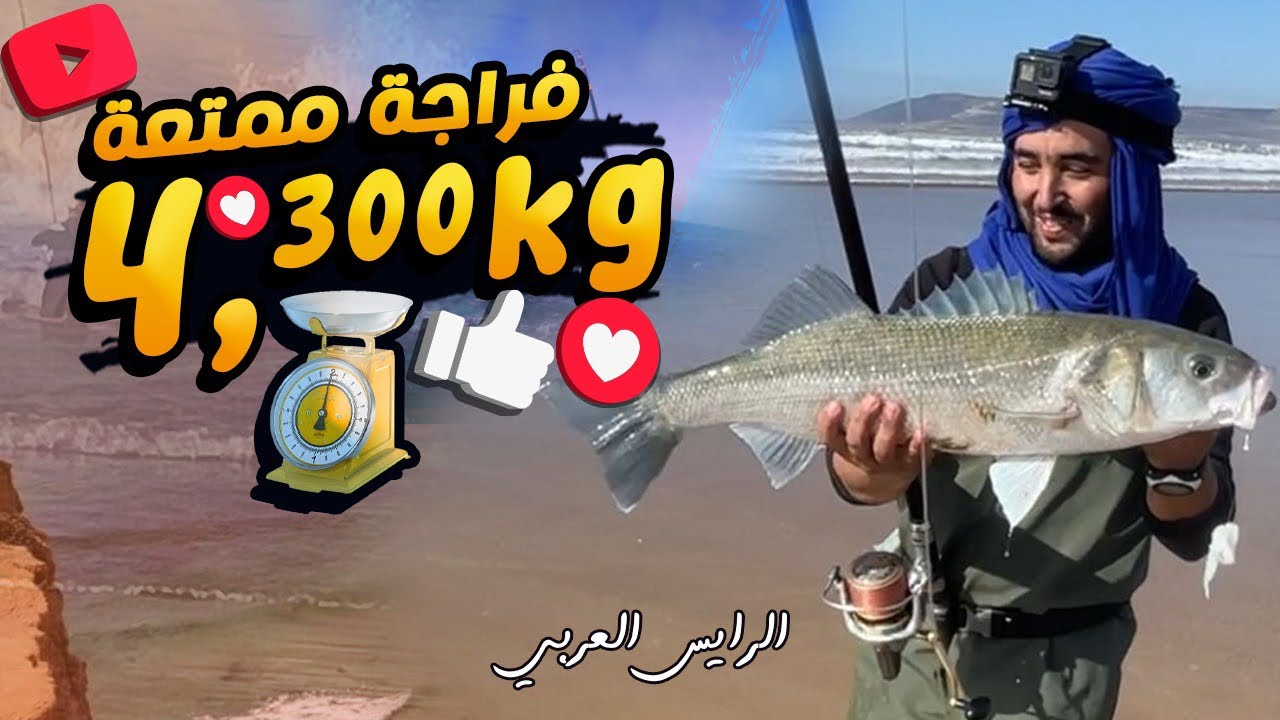 صيد سمكة الدرعي ￼ بتقنية سورف كستينغ في بحر هاءج