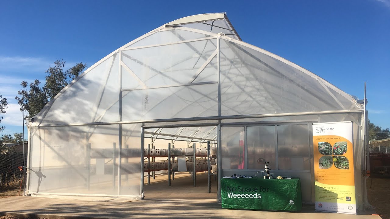 3  Don Mackenzie Weed Biocontrol Facility